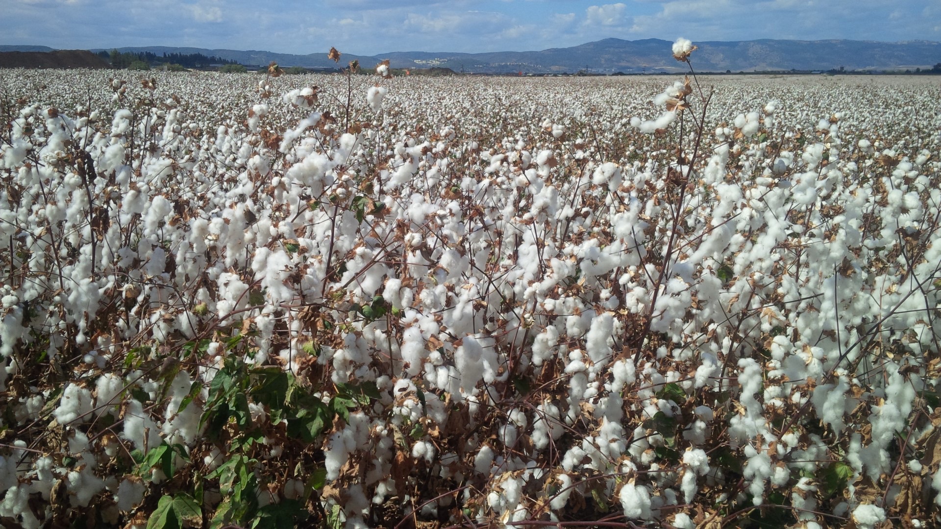 2月アメリカ出張　